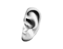 Oído